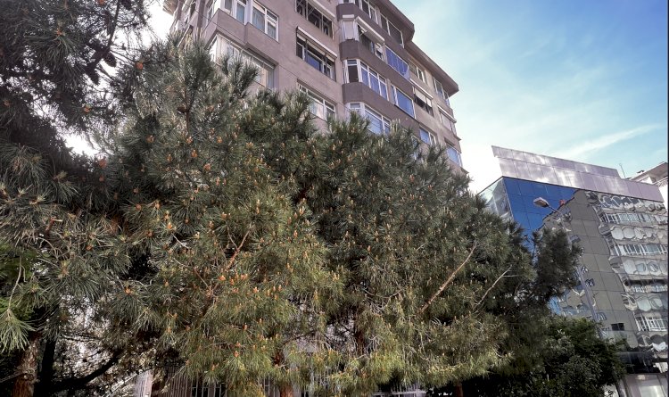 Bayındır Sokak  Erdem Apartmanı